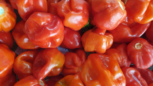 Karibisches Habanero Carribean Red Hühnchen