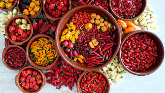 Chili - Schärfe und Gesundheit in der Küche