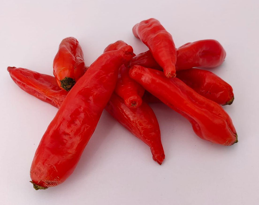 Aji Imbabura - 10 chili seeds