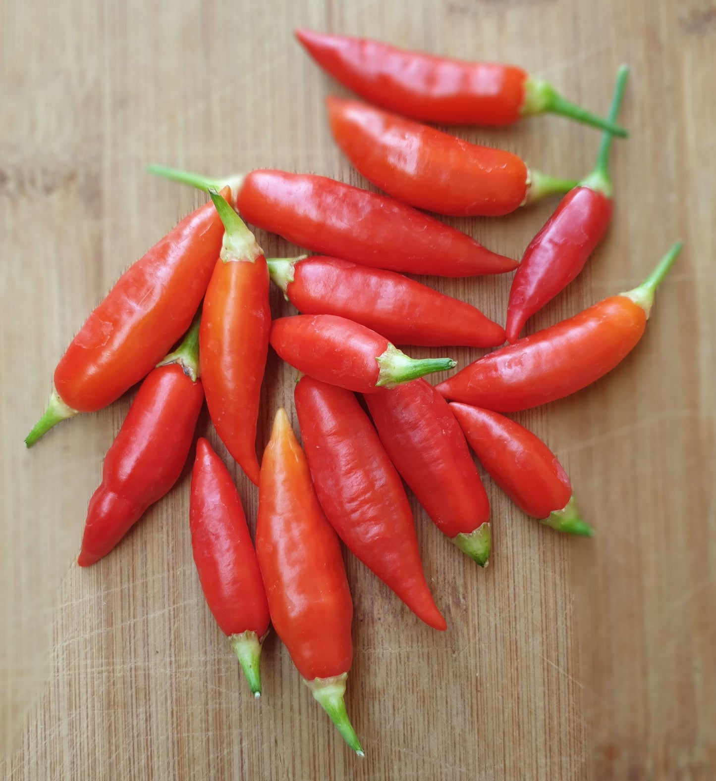 Aji Challuaruro - 10 Chilisamen
