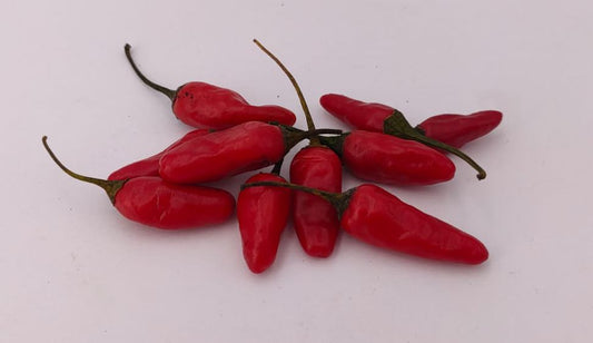 Apache - 10 chili seeds