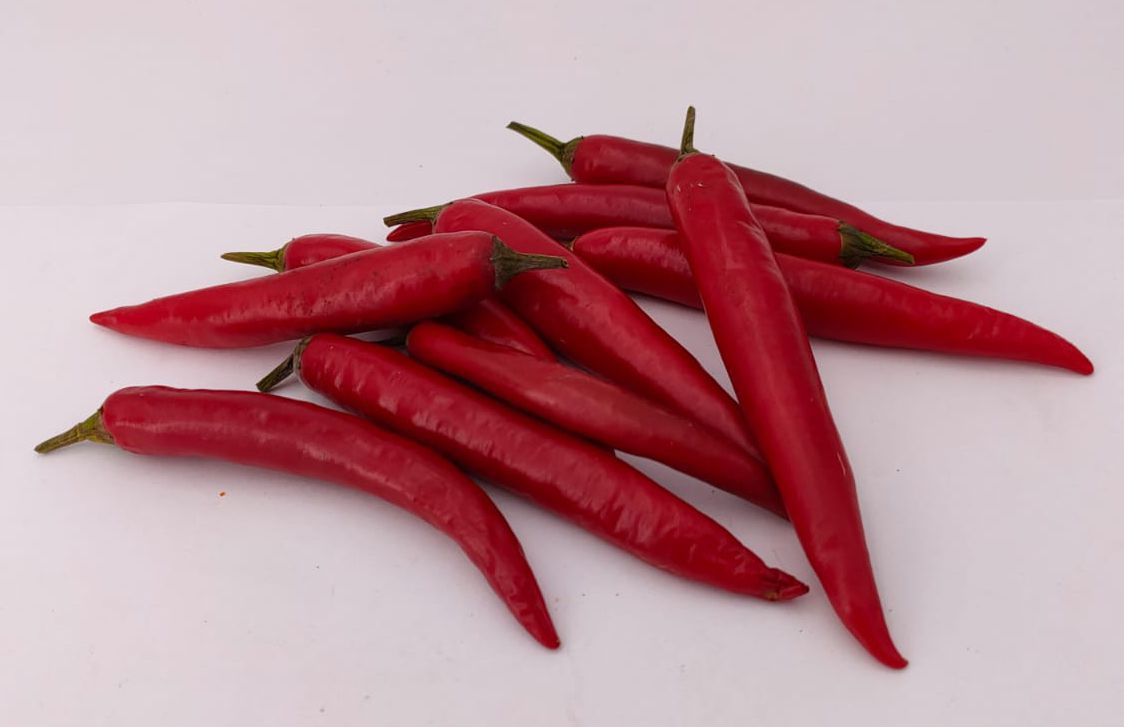 Cabe Besar - 10 chili seeds
