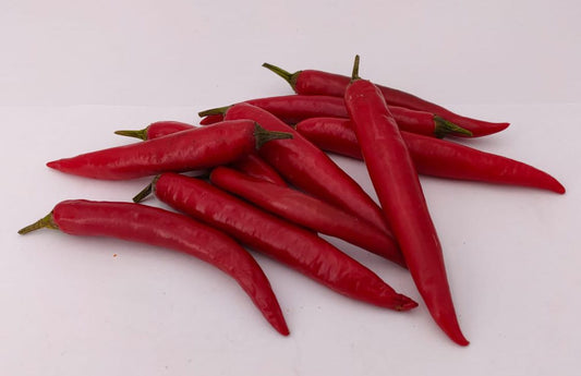 Cabe Besar - 10 semillas de chile