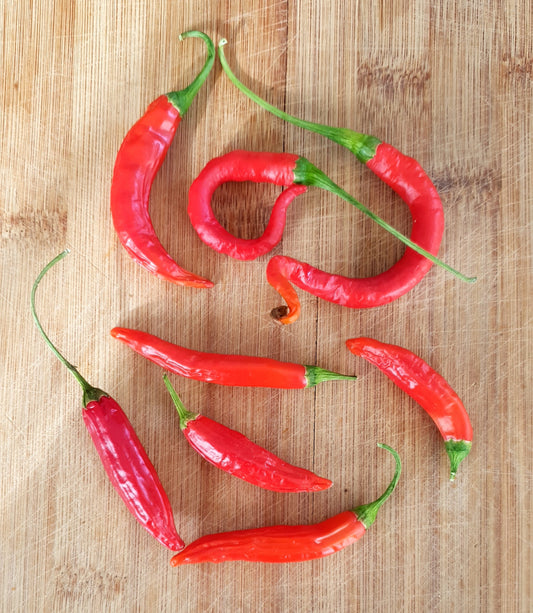 Cacho de Cabra - 10 chili seeds