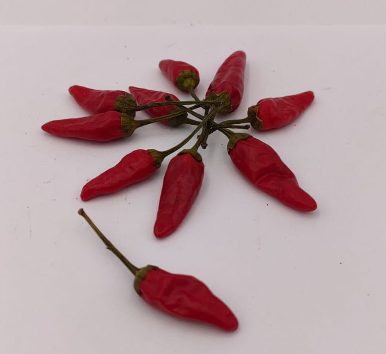 Candlelight - 10 chili seeds
