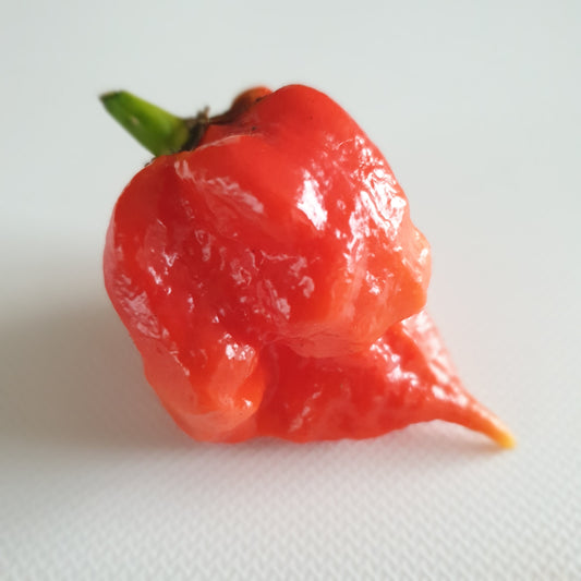 Ultimate hotness range (5 varieties with 5 seeds each)
