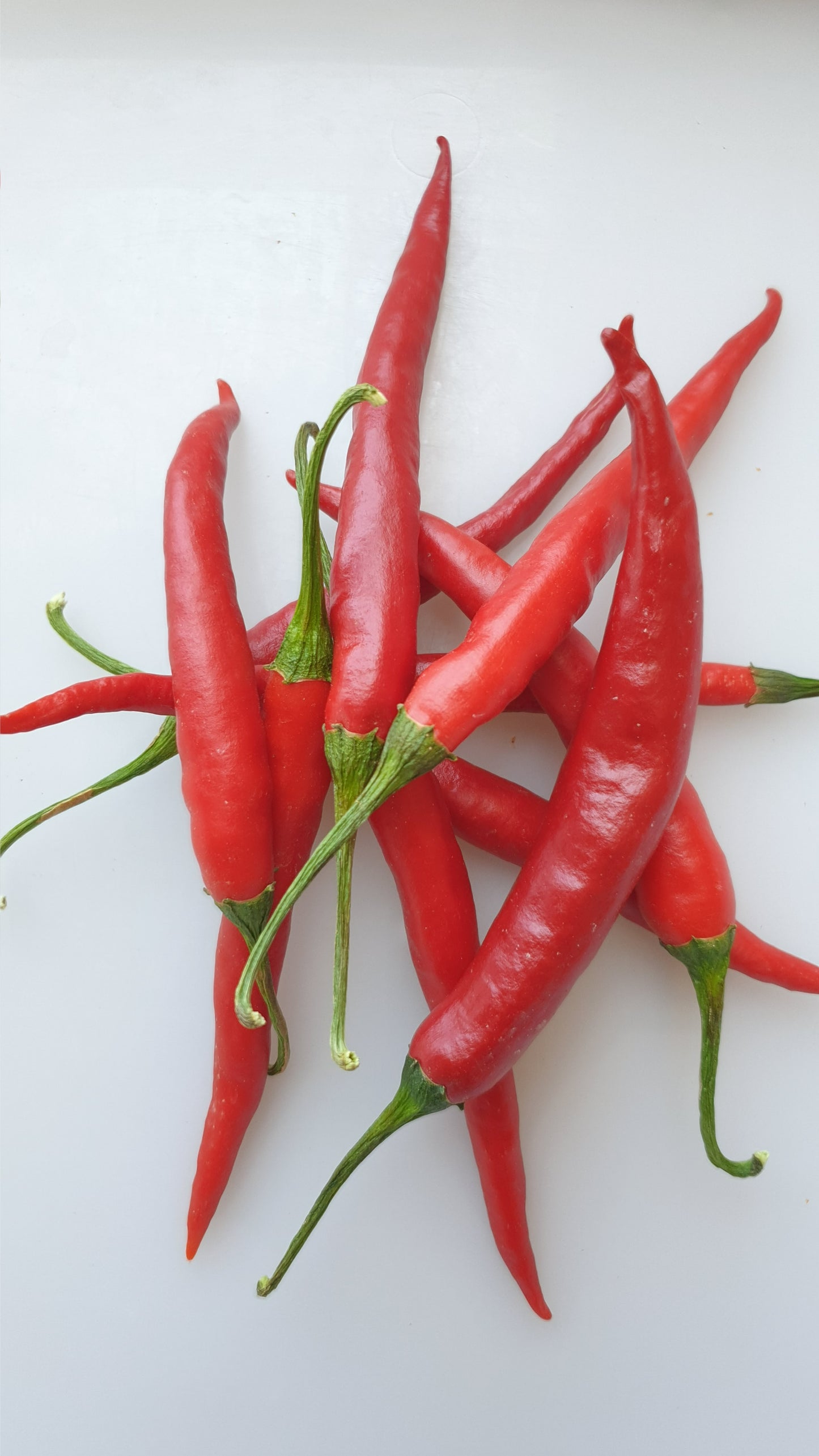 Delgados y picantes: chiles largos (5 variedades, 5 semillas cada una)