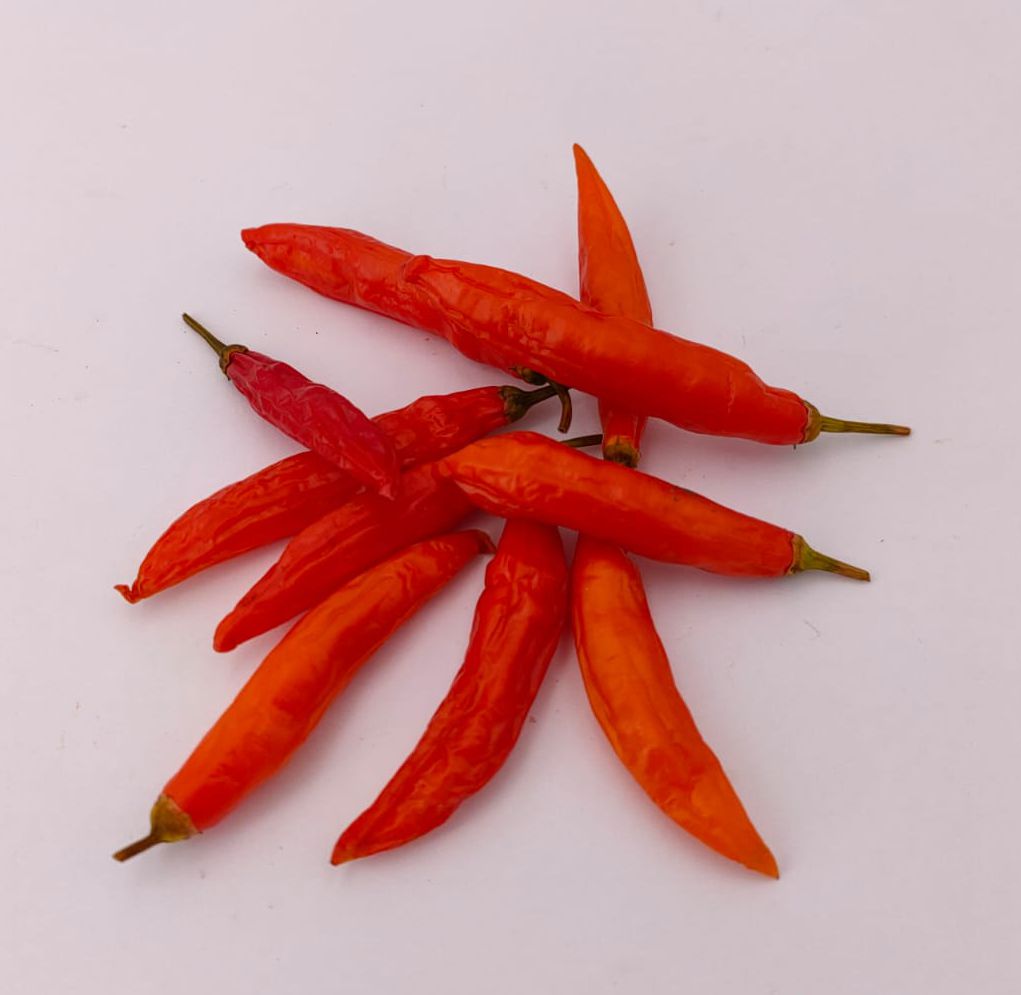 Duke Aji - 10 semillas de chile