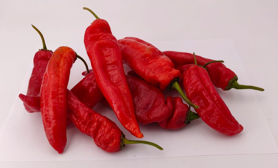 Dulce Italiano - 10 chili seeds