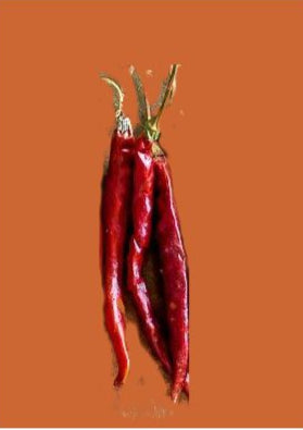 Guajillo 10 Chilisamen