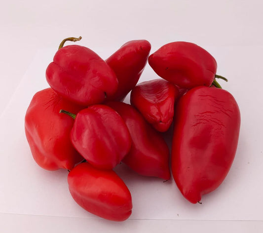 Gypsy Queen - 10 Chilisamen