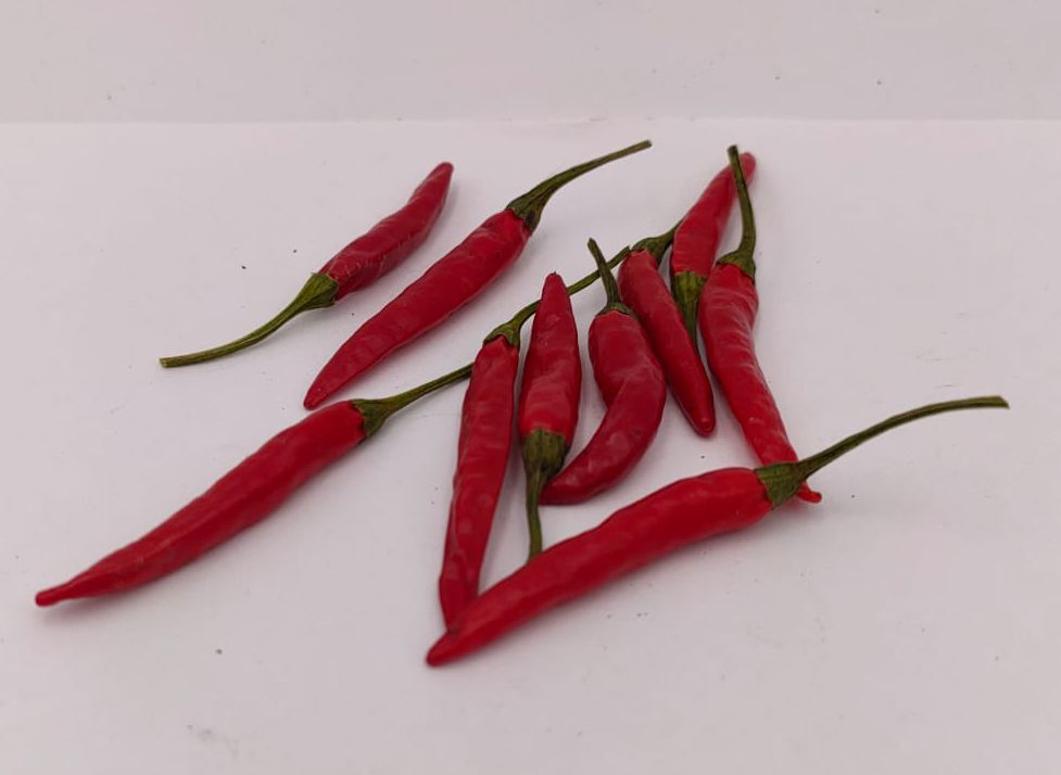 Hontaka - 10 Chilisamen