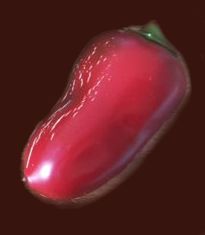 Jalapeño Colima - 10 Chilisamen