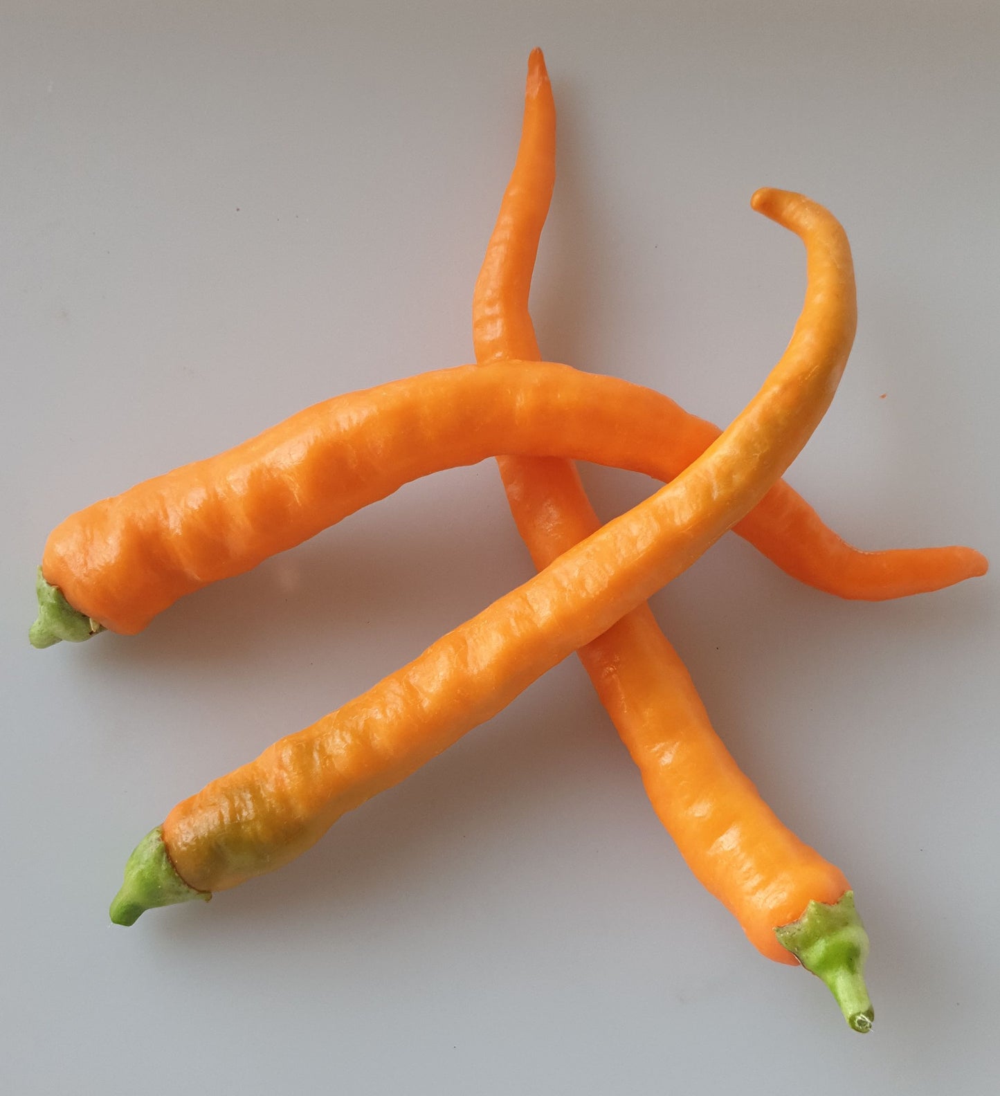 Joe's Long Cayenne Orange - 10 semillas de chile