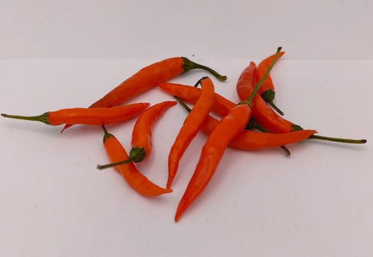 Lanterna de Foc - 10 chili seeds