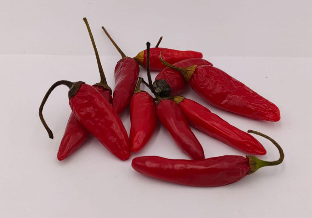 Madeira #4 - 10 chili seeds