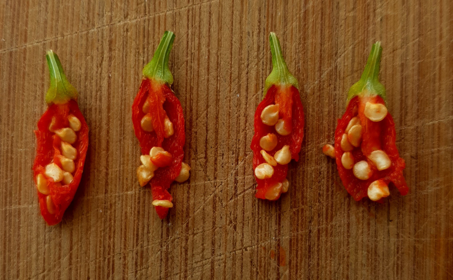 Malaguentinha - 10 chili seeds