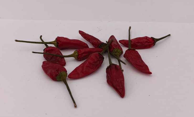 Malaysian Explosive Ember - 10 chilli seeds