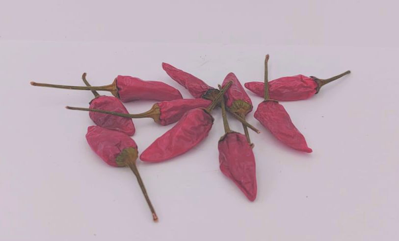 Malaysian Explosive Ember - 10 chilli seeds
