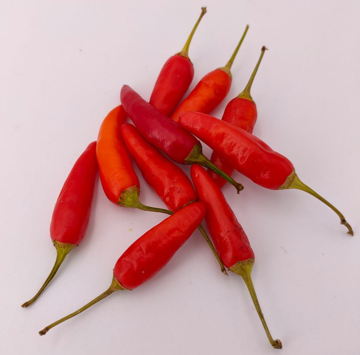 MatchBox Pepper - 10 Chilisamen