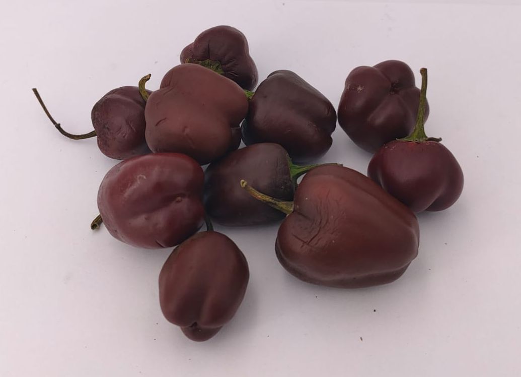 Mini Campana de Chocolate - 10 semillas de chile