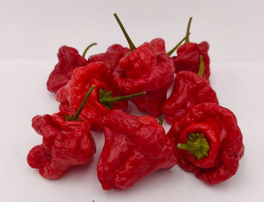 Mini Bonnet - 10 chili seeds