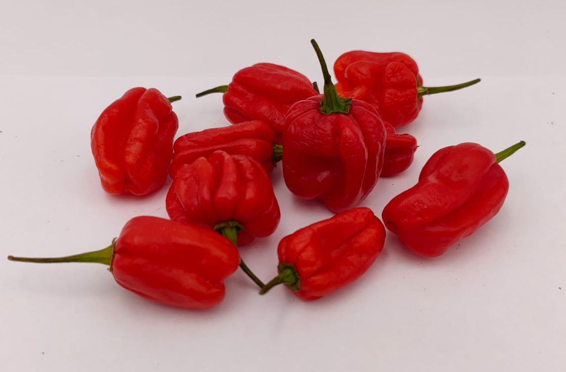 Numex Suave Rojo - 10 semillas de chile