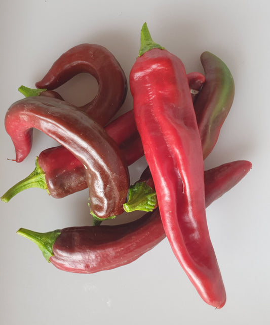 Numex Sweet - 10 Chilisamen