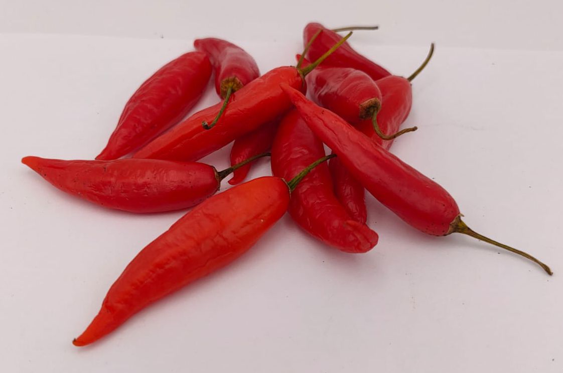 Peruvian Pointer - 10 chili seeds
