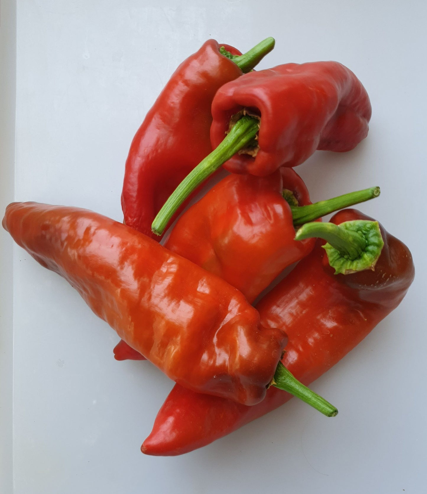Aromas suaves: la gama de chiles suaves (6 variedades, 5 semillas cada una)