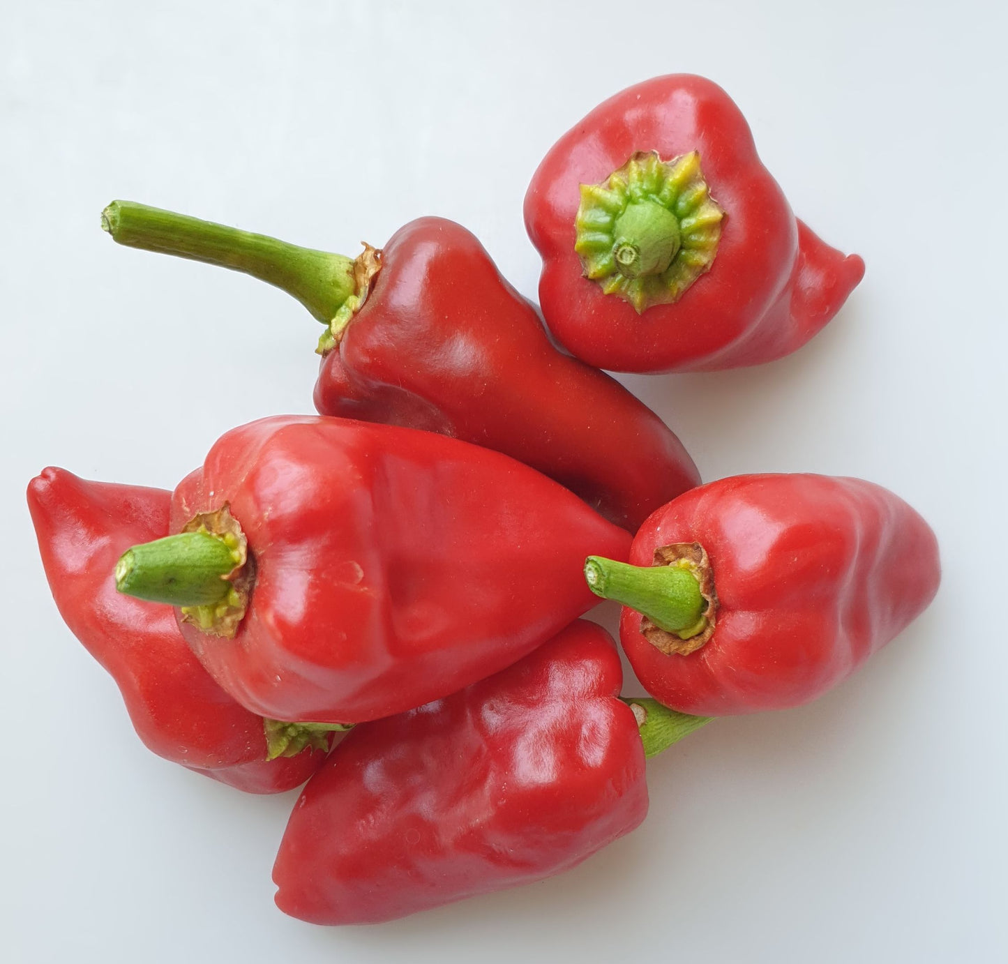 Piquillo - 10 semillas de chile