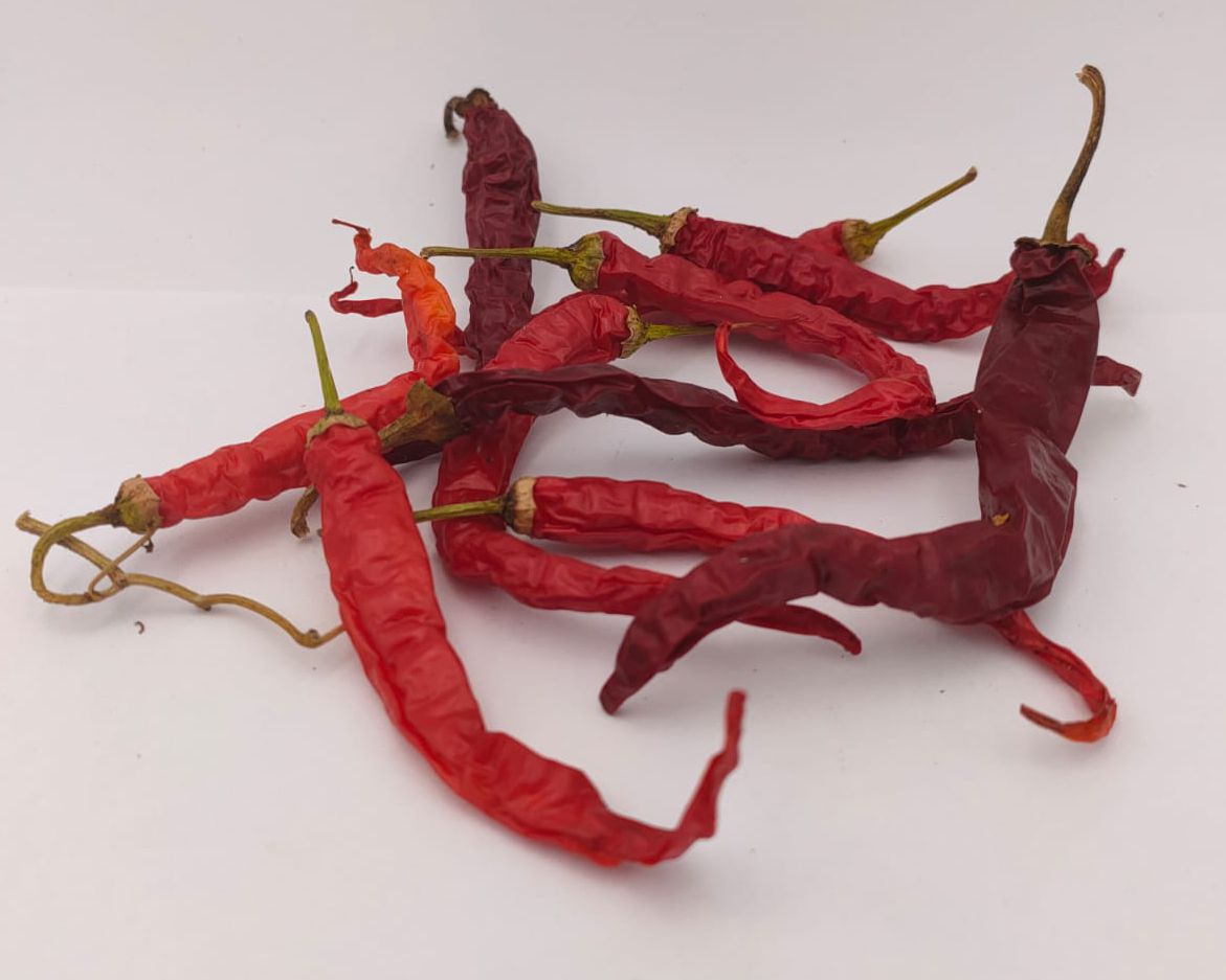 Quindilla Blanca - 10 Chilisamen