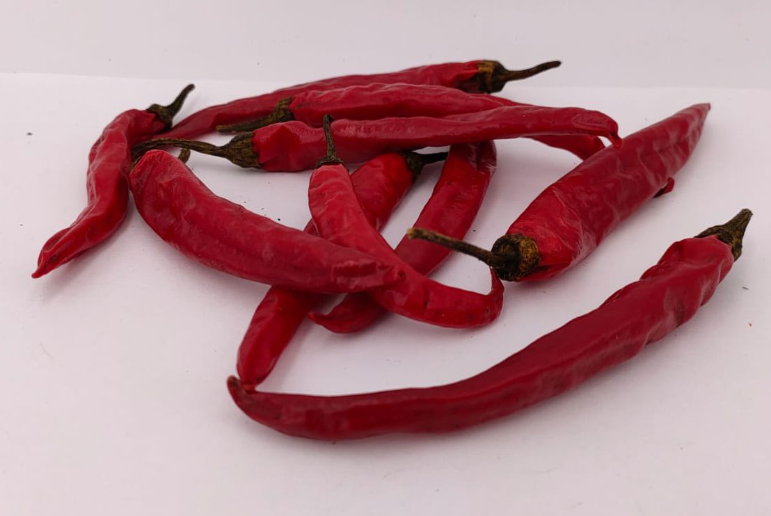 Red Rocket - 10 Chilisamen