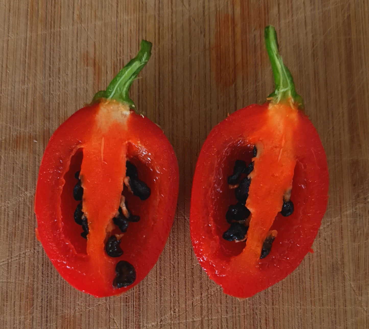 Rocoto Boliviano Peludo - 10 semillas de chile