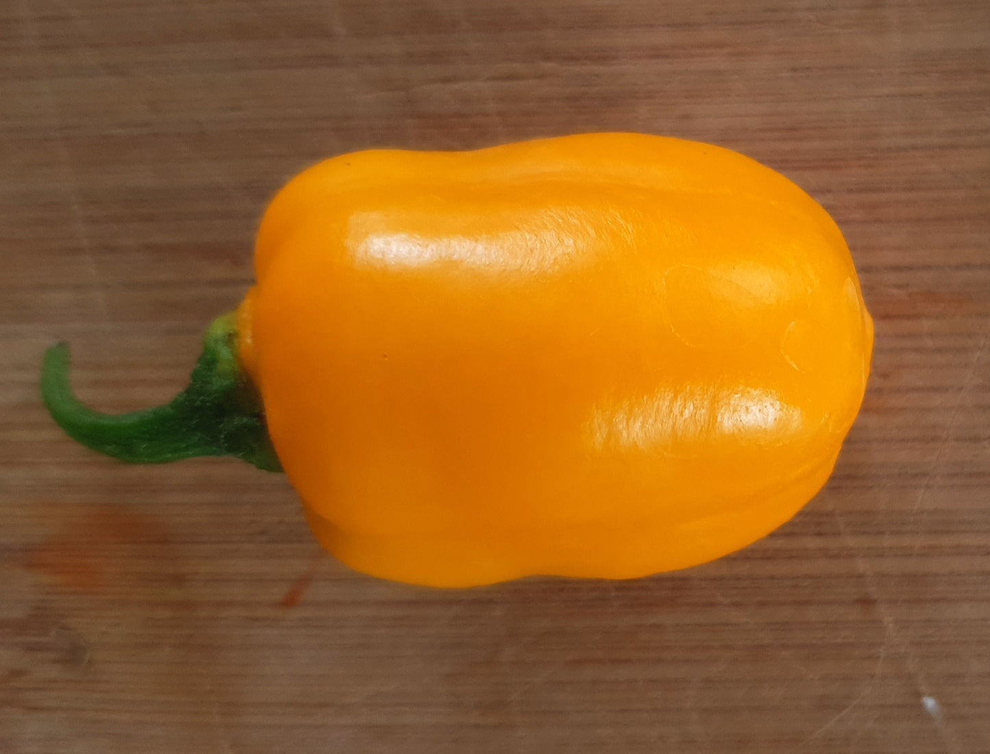 Rocoto Puno Amarillo - 10 semillas de chile