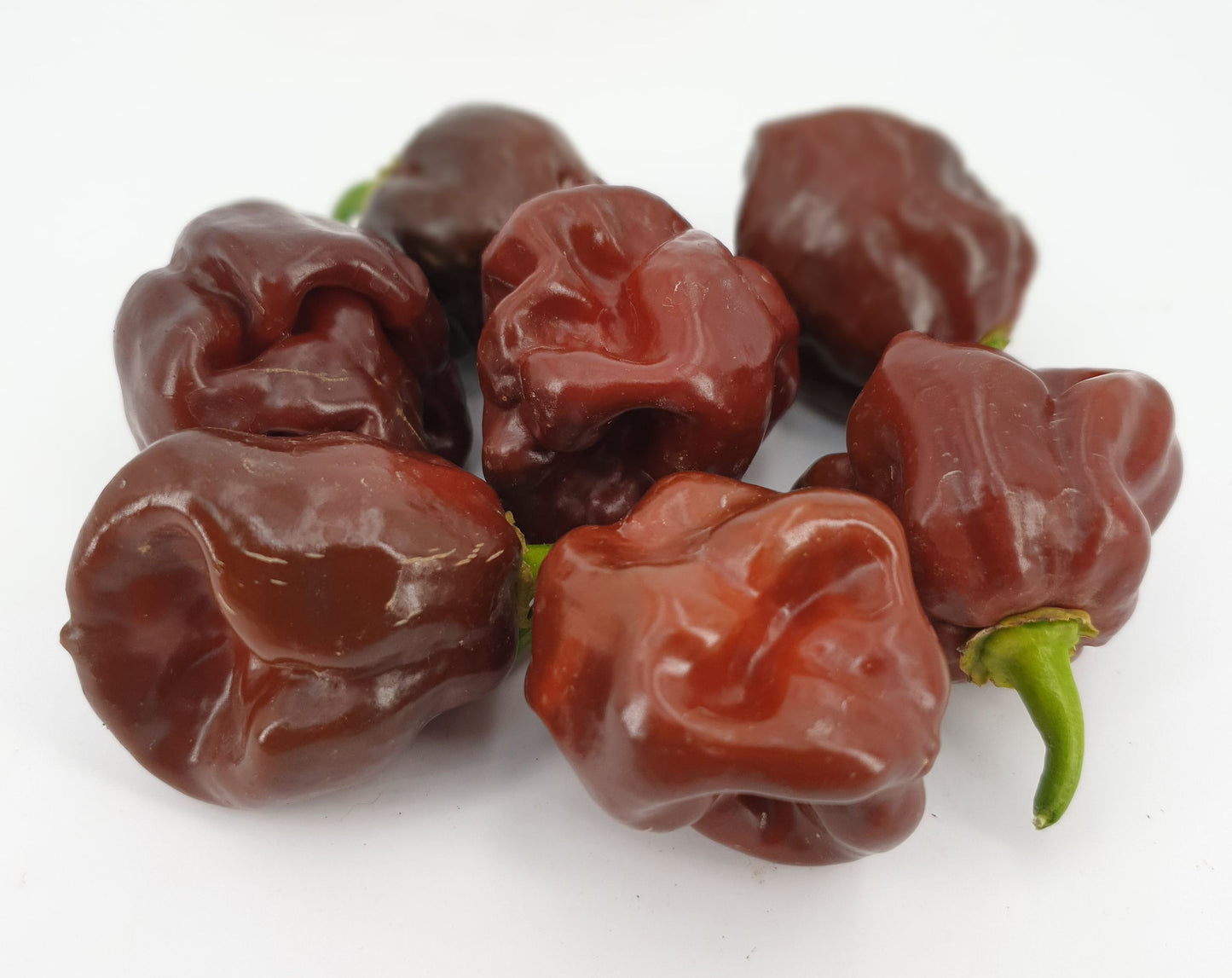 Scotch Bonnet Chocolate - 10 chilli seeds