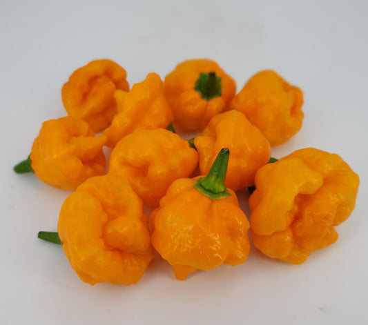 Scotch Brain Yellow - 10 semillas de chile
