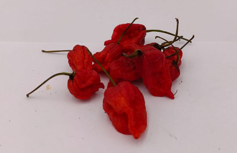 Shabu Shabu - 10 chili seeds