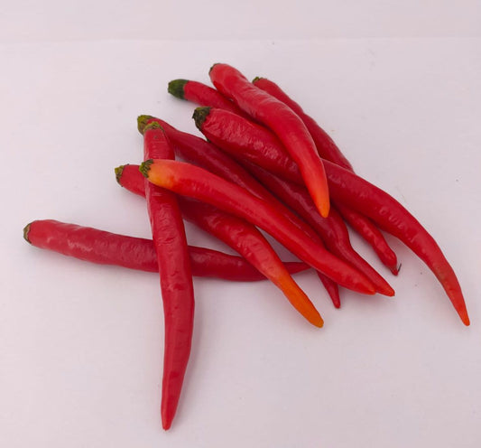 Space After Glow Chili - 10 Chili Seeds