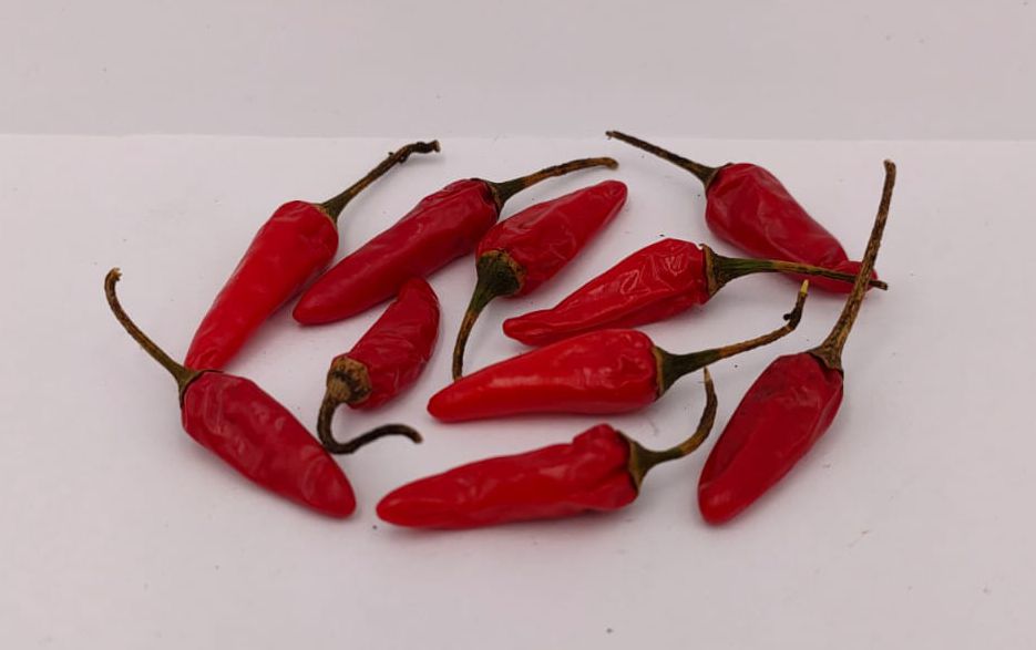 Thai Dragon - 10 chili seeds