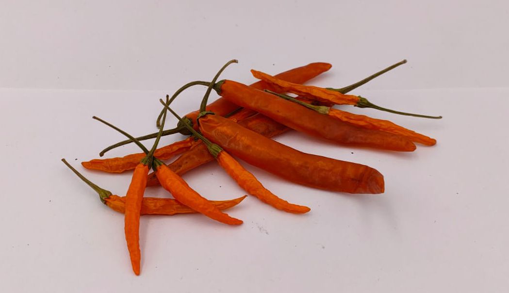 Chile picante de naranja tailandés - 10 semillas de chile