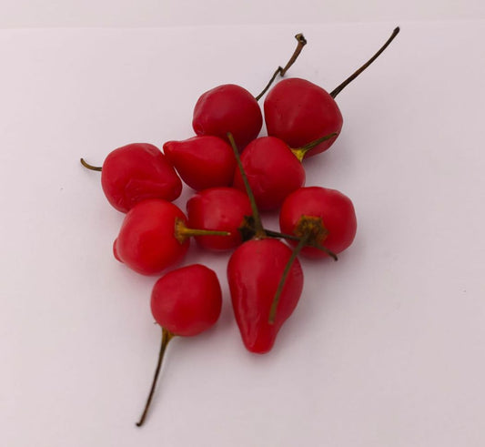 Trapadeira do Werner - 10 chili seeds