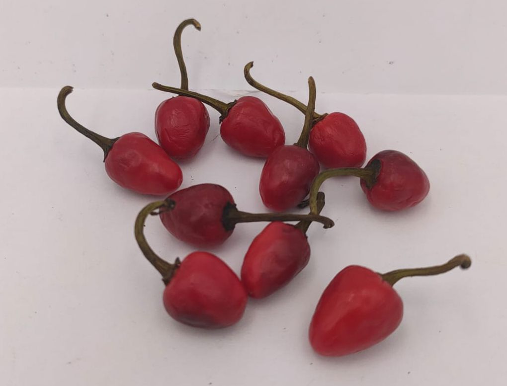 Venezuelan Hot - 10 chili seeds