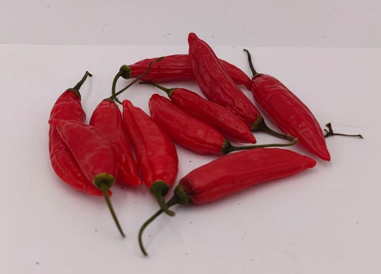 Volcan de Teneguia - 10 chili seeds