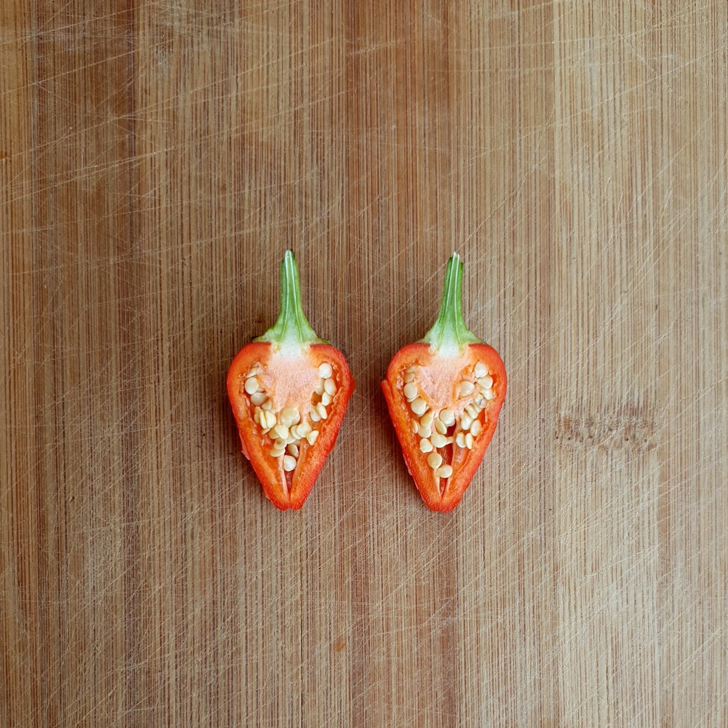 2 Halbe Abbreviatum Frucht mit Chilisamen