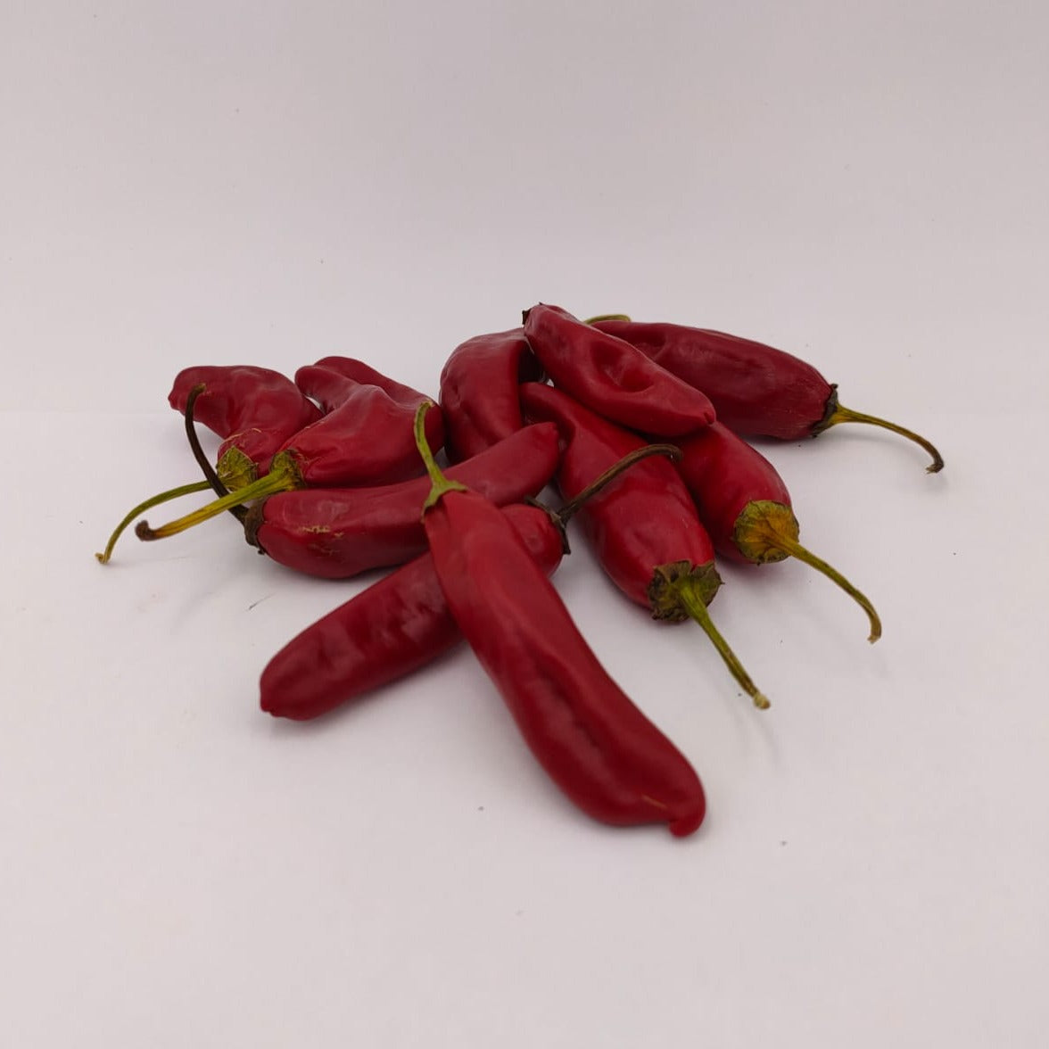10 rote Abchazskij ostruyi Chilis