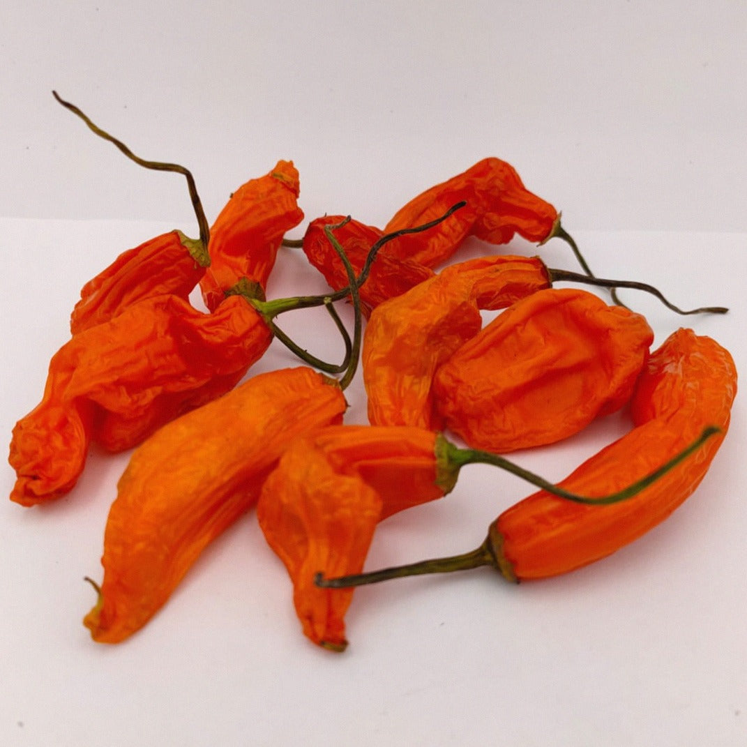 10 orangfarbene Aji amarillo Früchte