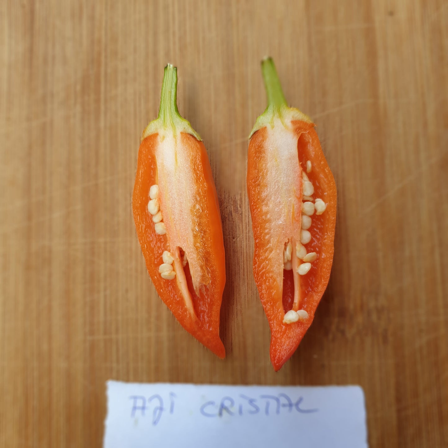 Aji Cristal Chilischote (geöfnet)