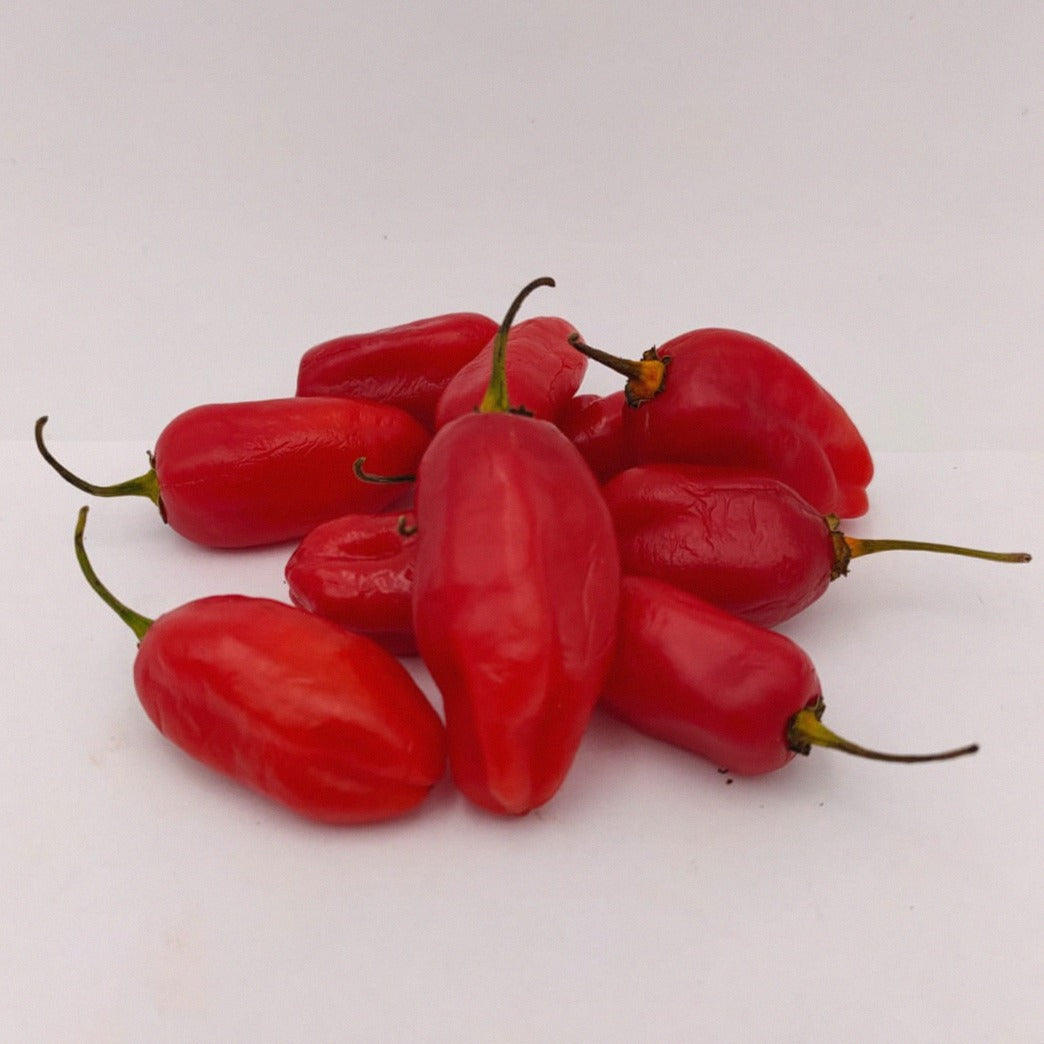 10 rote Amazon Chile Roma Früchte