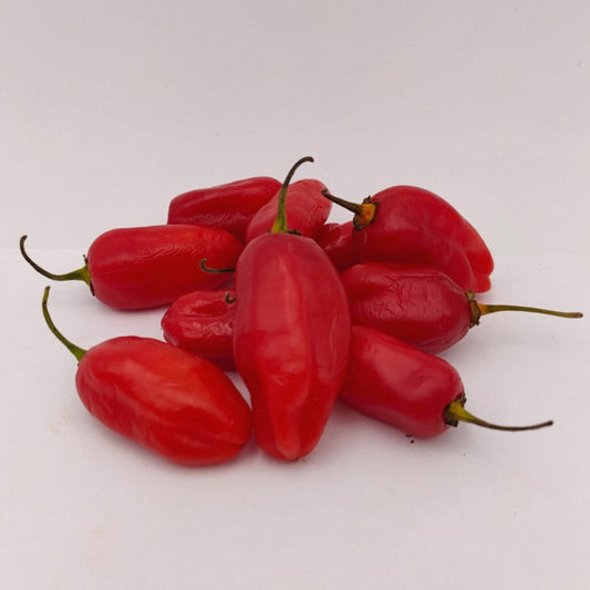 10 rote Amazon Chile Roma Früchte